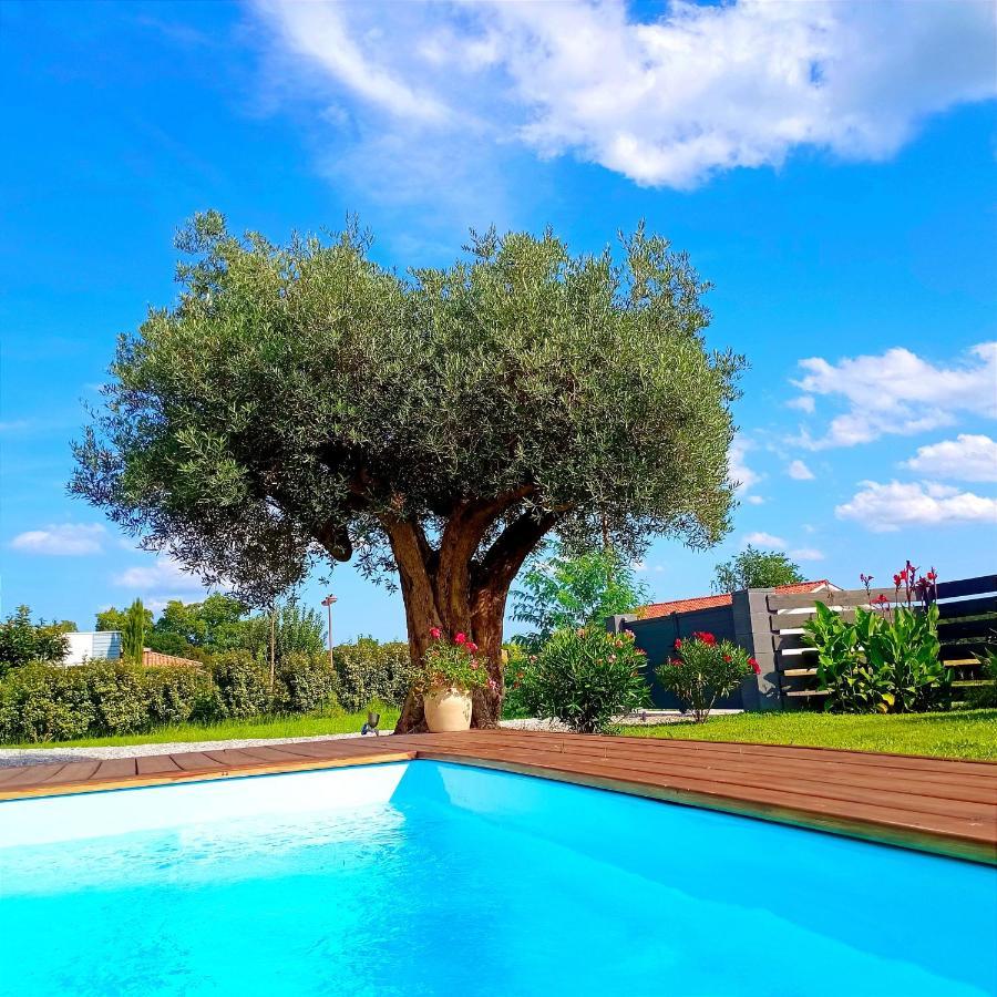 Maison Neuve Et Chaleureuse Morcenx Dış mekan fotoğraf